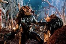 Images (5)