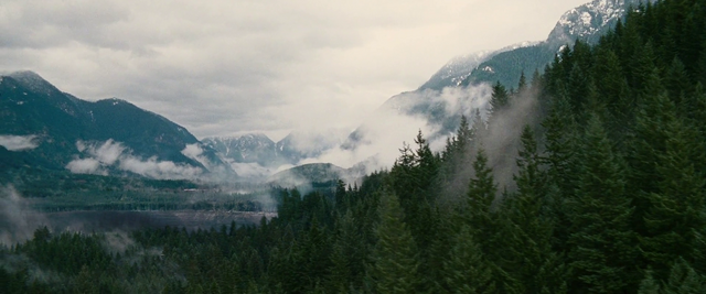 File:Black Forest.png