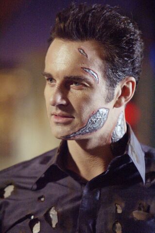 File:Dooms Face 2005.jpg