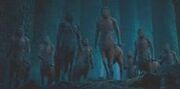 CENTAURS IN HARRY POPTTER