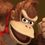 RosterEvolutionIcon DonkeyKong