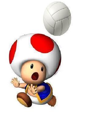 File:Toad MSSMT.jpg