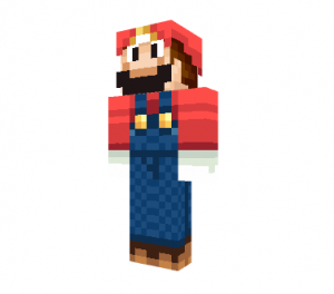 File:MarioM Skin.png