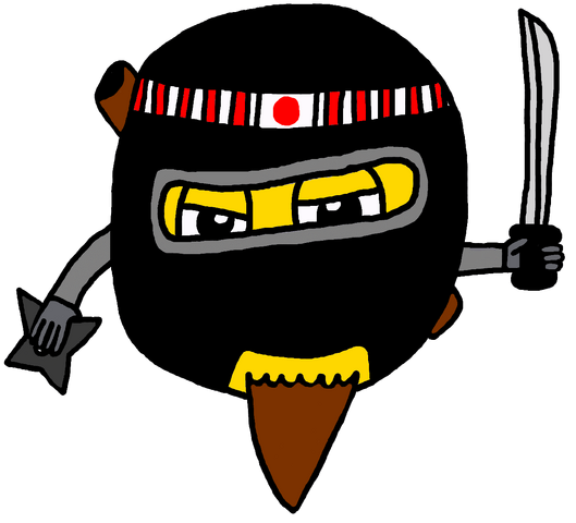 File:BeardedNinja.png