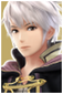Nstcharacter robin