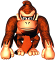 File:110px-DKC DK Front.png