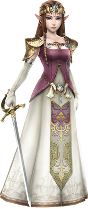 Hyrule Warriors Zelda TP Clothes