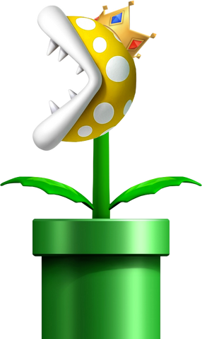 File:Mushroom King NSMBDIY.png