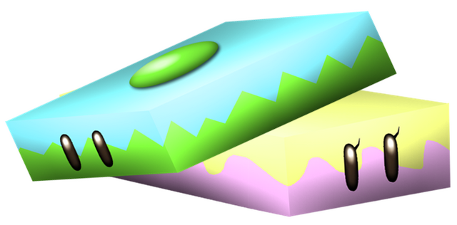 File:PushysFASR.png