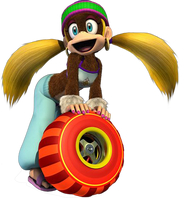 TinyKongDS