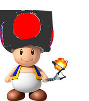 Final Toad