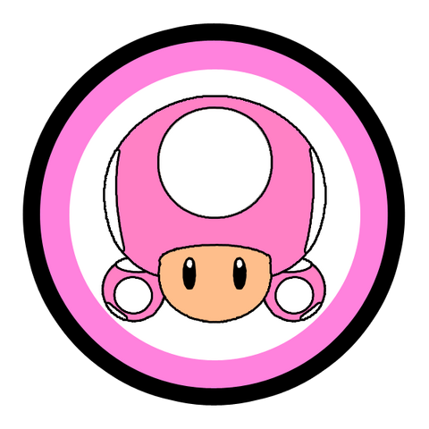 File:ToadetteIconSMSJ.png
