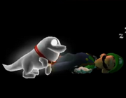 Luigi Sleeping