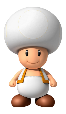 File:WhiteToadFront.png