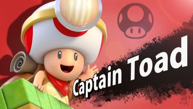Fichier:Ssb4 c10.jpg