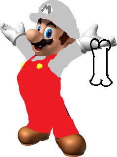 File:Bone Suit Mario.png