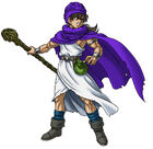 Dq5-hero