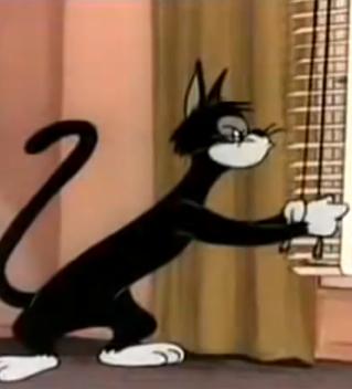 File:Butch 2.JPG
