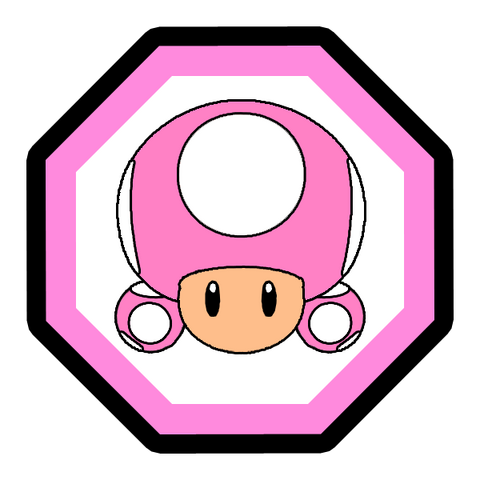 File:ToadetteIcon2SMSJ.png