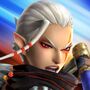 Flagteam Impa