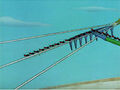 Thumbnail for version as of 22:36, May 13, 2011
