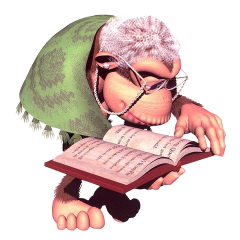 File:WrinklyKongDKC2.png