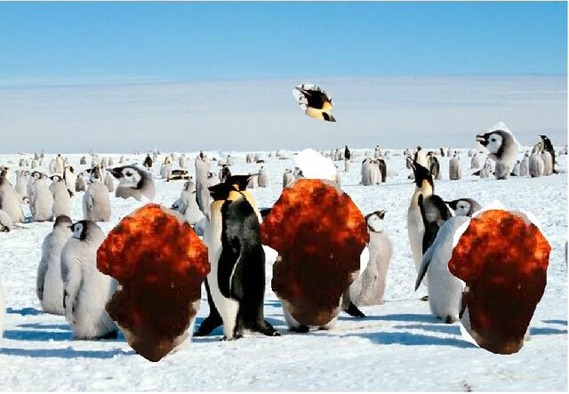 File:Exploding Penguins.jpg