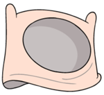File:FinHat.png