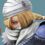 RosterEvolutionIcon Sheik