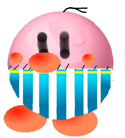 File:BurtTheBashful3D.png