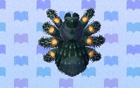 Tarantula encyclopedia (New Leaf)