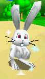 File:Whiterabbit.png