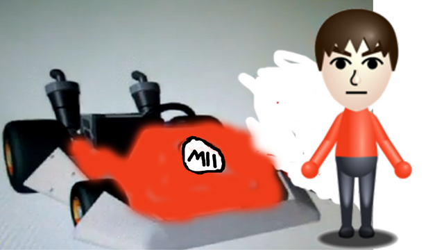 File:Mii middle racer.png