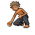 1 Brock