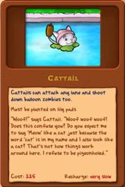 File:Cattail.jpg