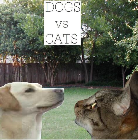 File:Dogs vs Cats.jpg