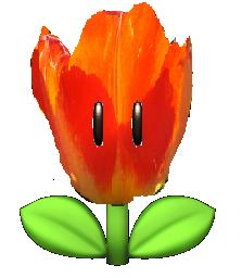 File:Fire Flower SYB.jpg