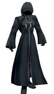 Org13coat