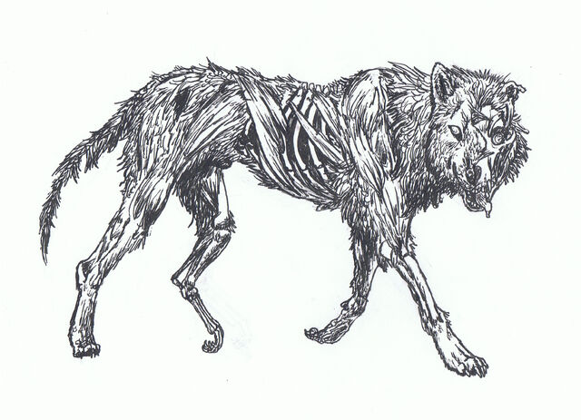 File:Zombie Wolf by LLawlietDeathNote.jpg