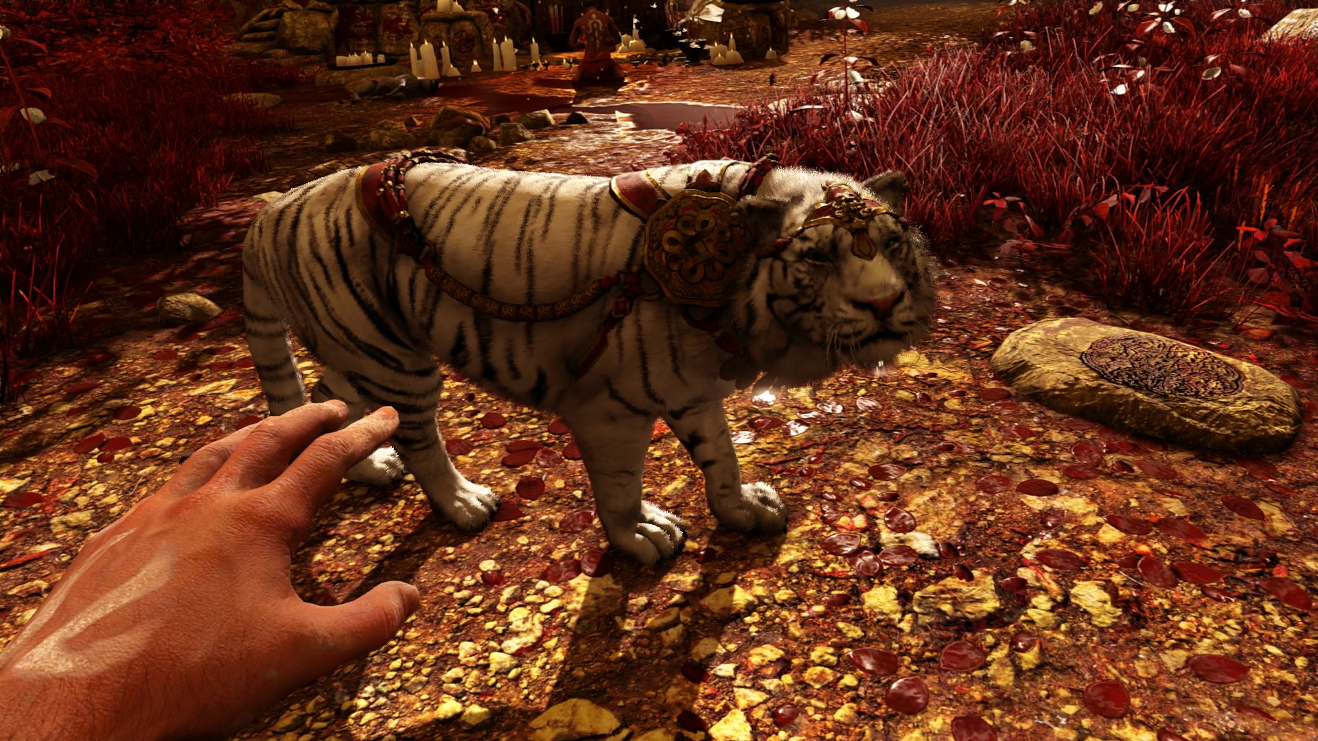 Group Of Far Cry 4 Tiger Wallpaper Hd