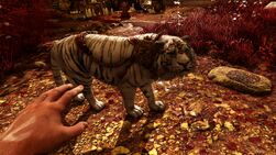 Far Cry® 4 20141208160935
