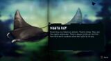 Manta Ray