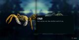 Crab