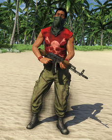 Pirate Assaulter