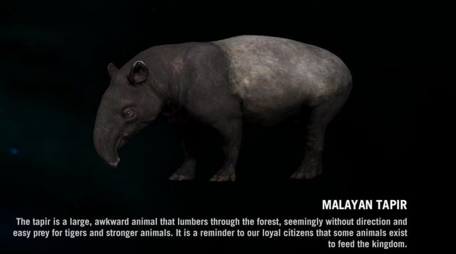Plik:MalayanTapir page.jpg