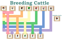 Breeding Cattle