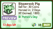 Shamrock Pig Market-info