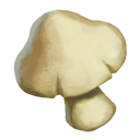 Clamshell Mushroom