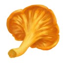 Chanterelle Mushroom