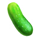 Cucumber